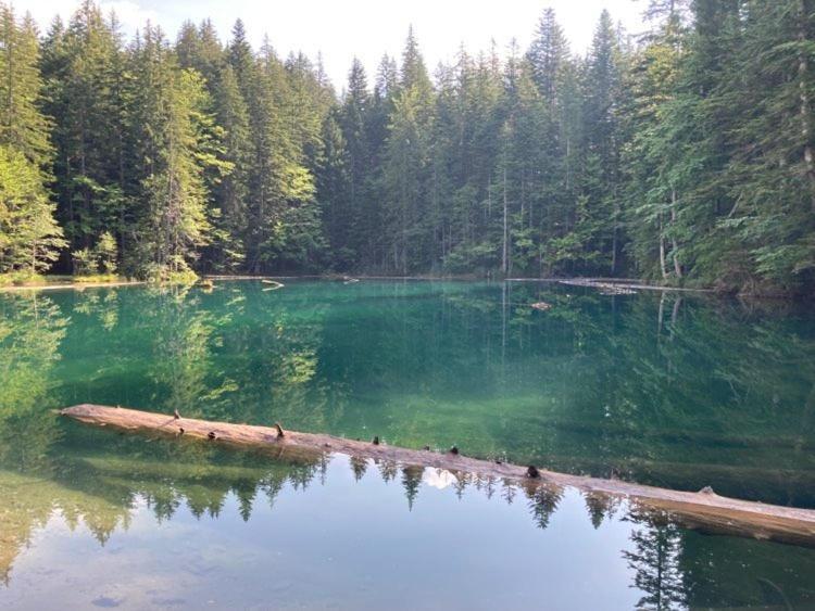 Fewo Berk Kuhnburg Exteriér fotografie
